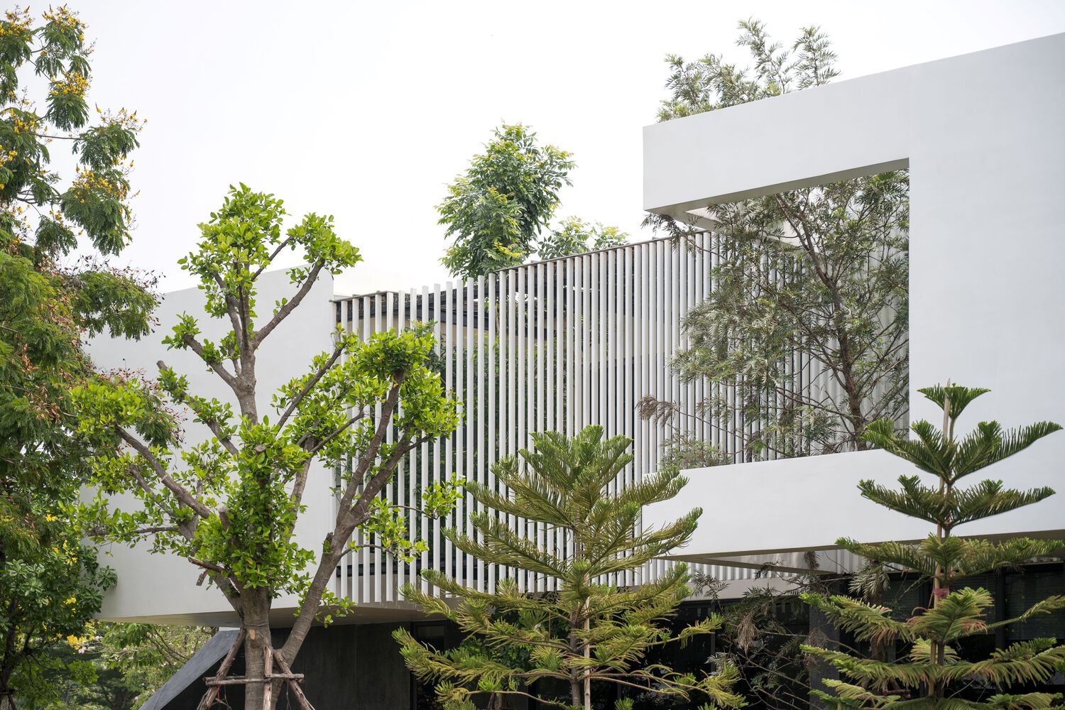 تراس مشرف به دریاچه از نشیمن