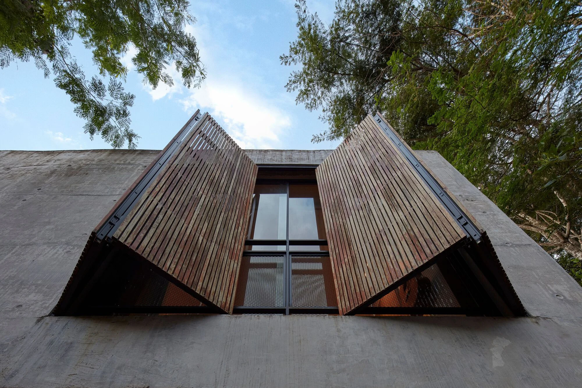 صدای پرواز پرندگان در نما