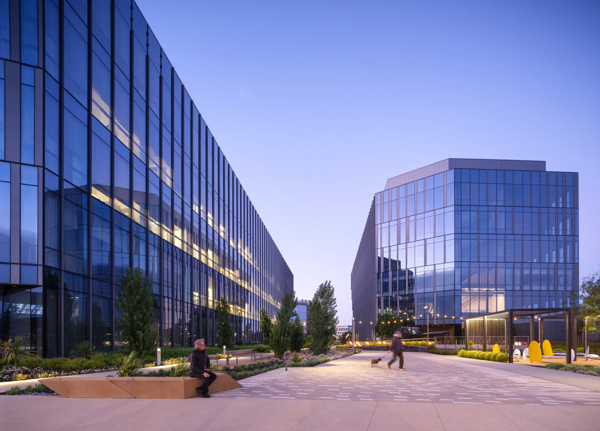 نمایی که تغییر را بازتاب میدهد