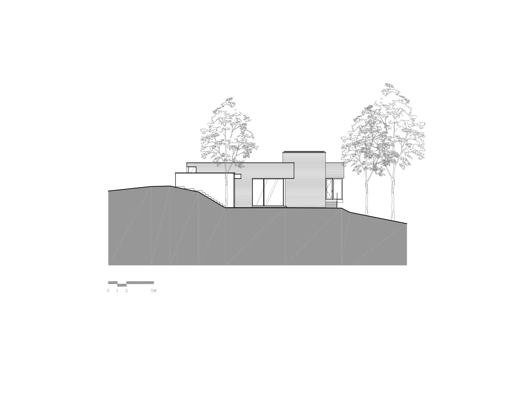 خط نمایی از طبیعت در قاب بزرگ