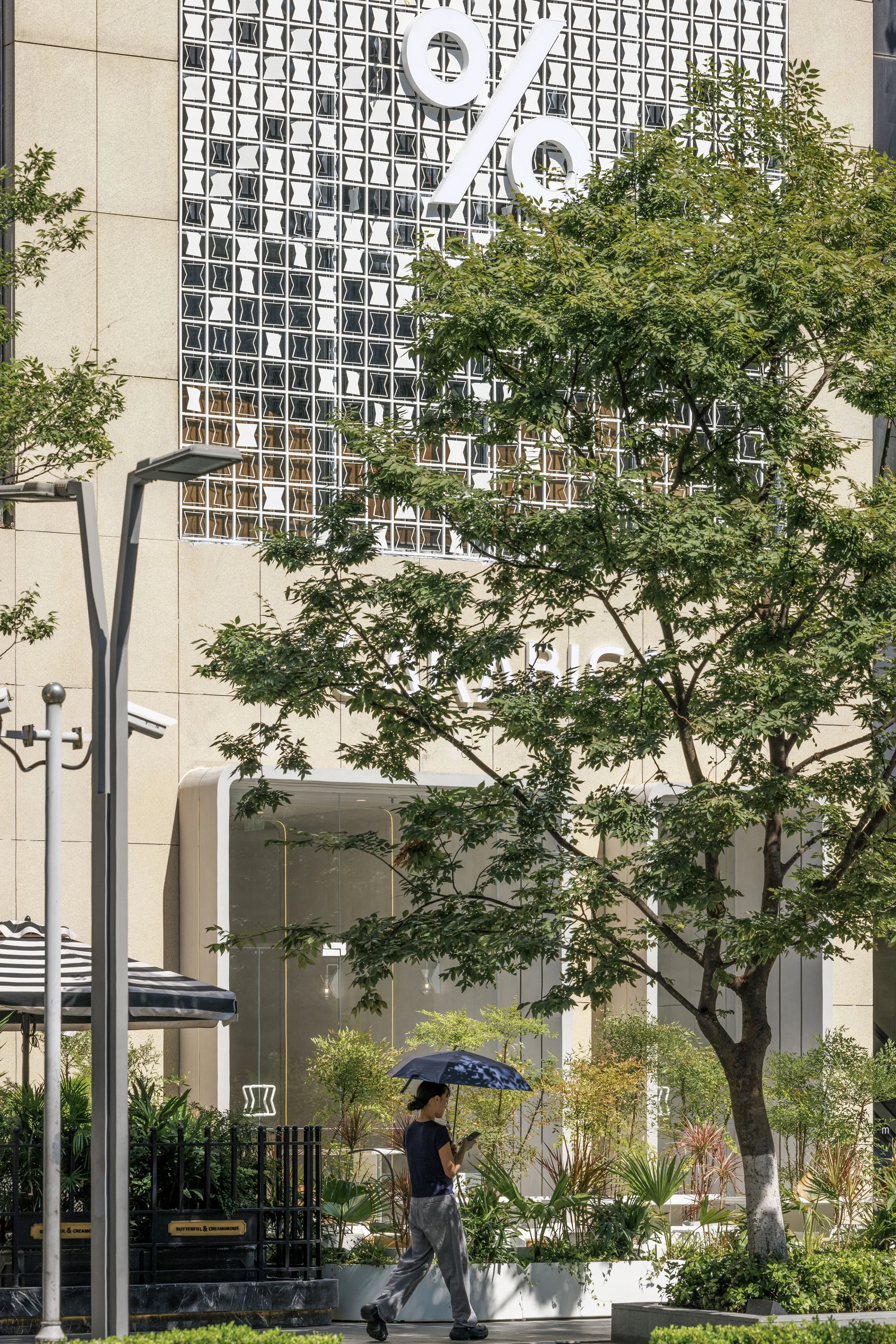 صفحهای از بشقابها در تابش