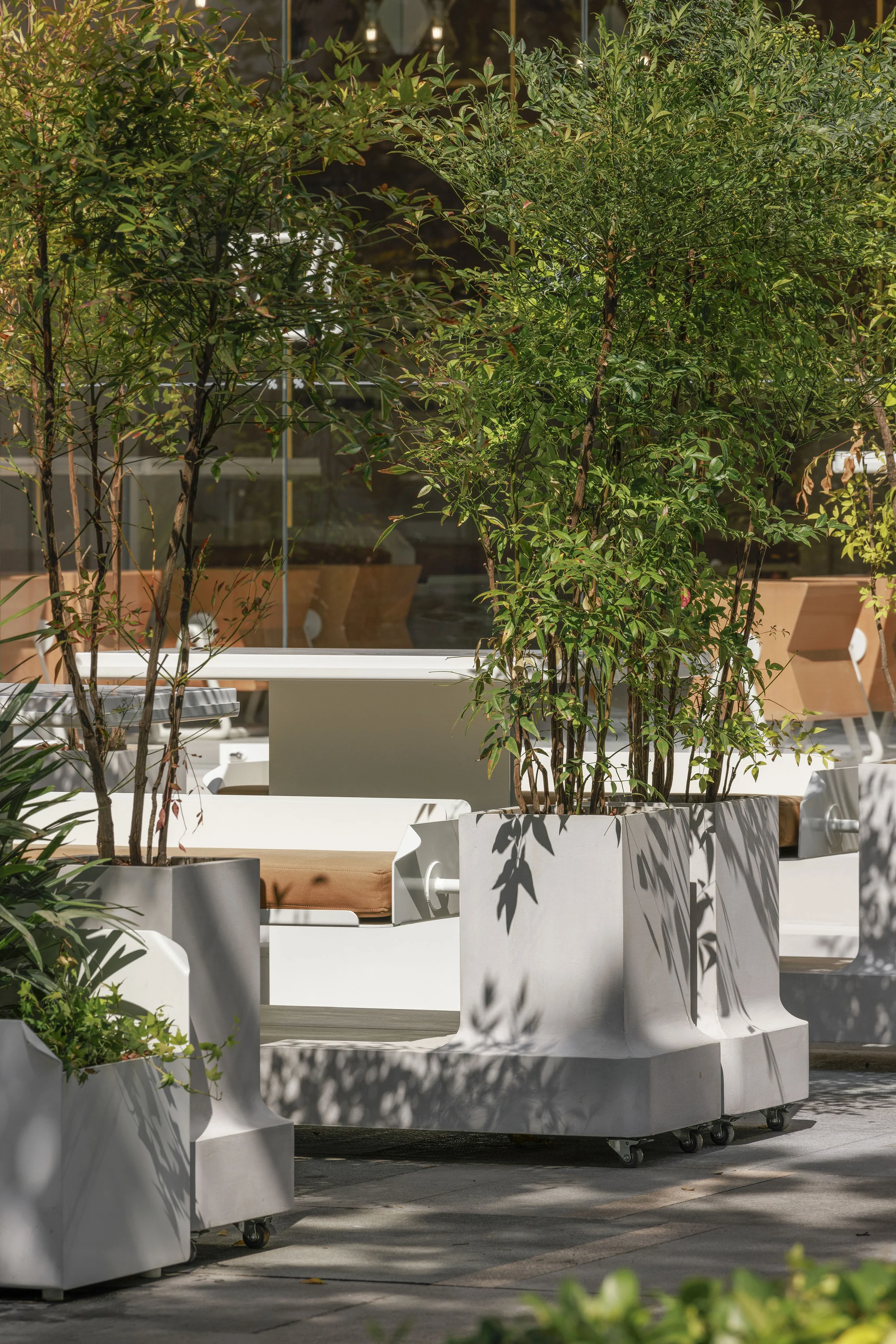 تناسب سایه و تابش مستقیم