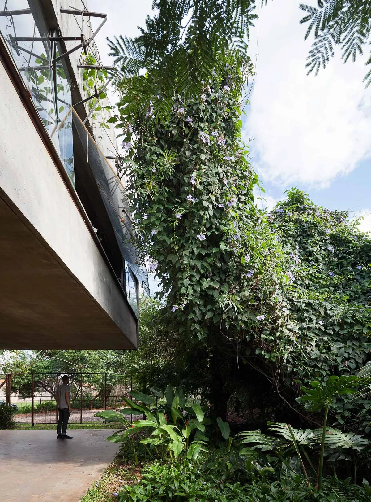 سایبان چوبی روی بام