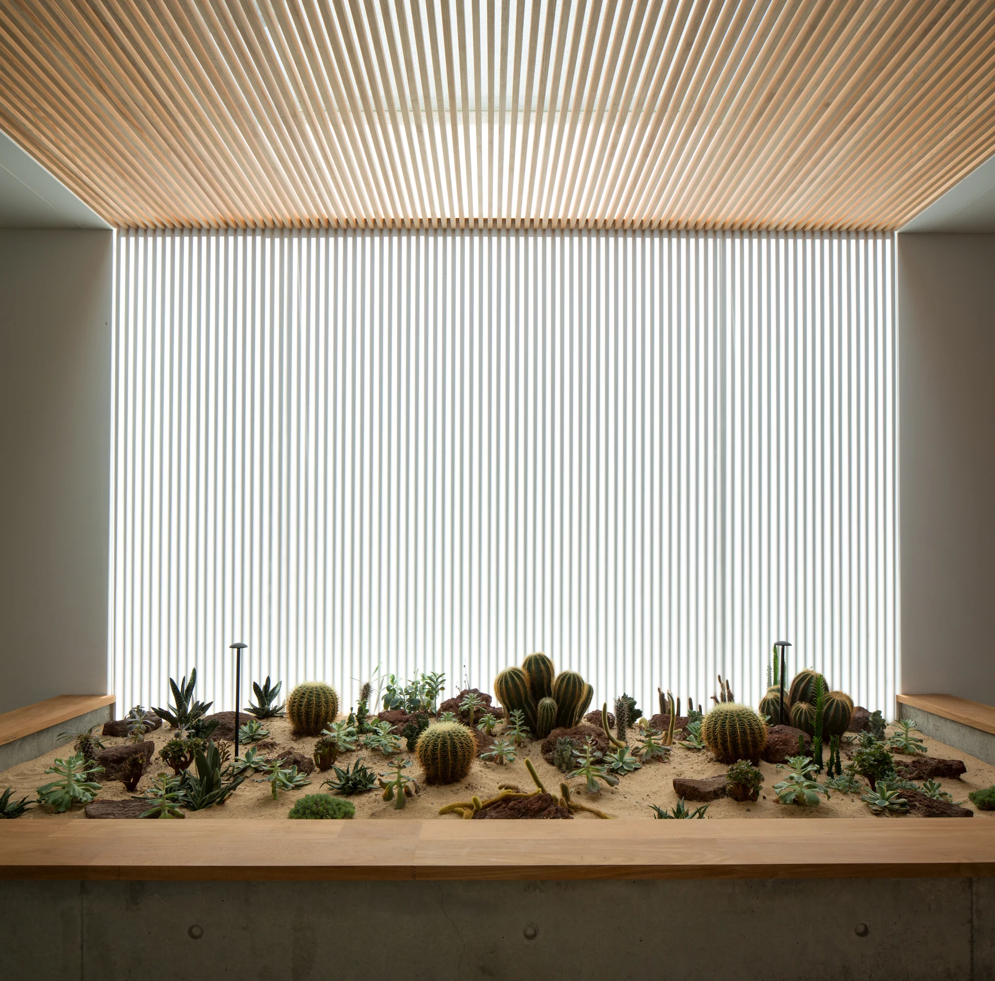 جنس بتن و چوب مطبوع