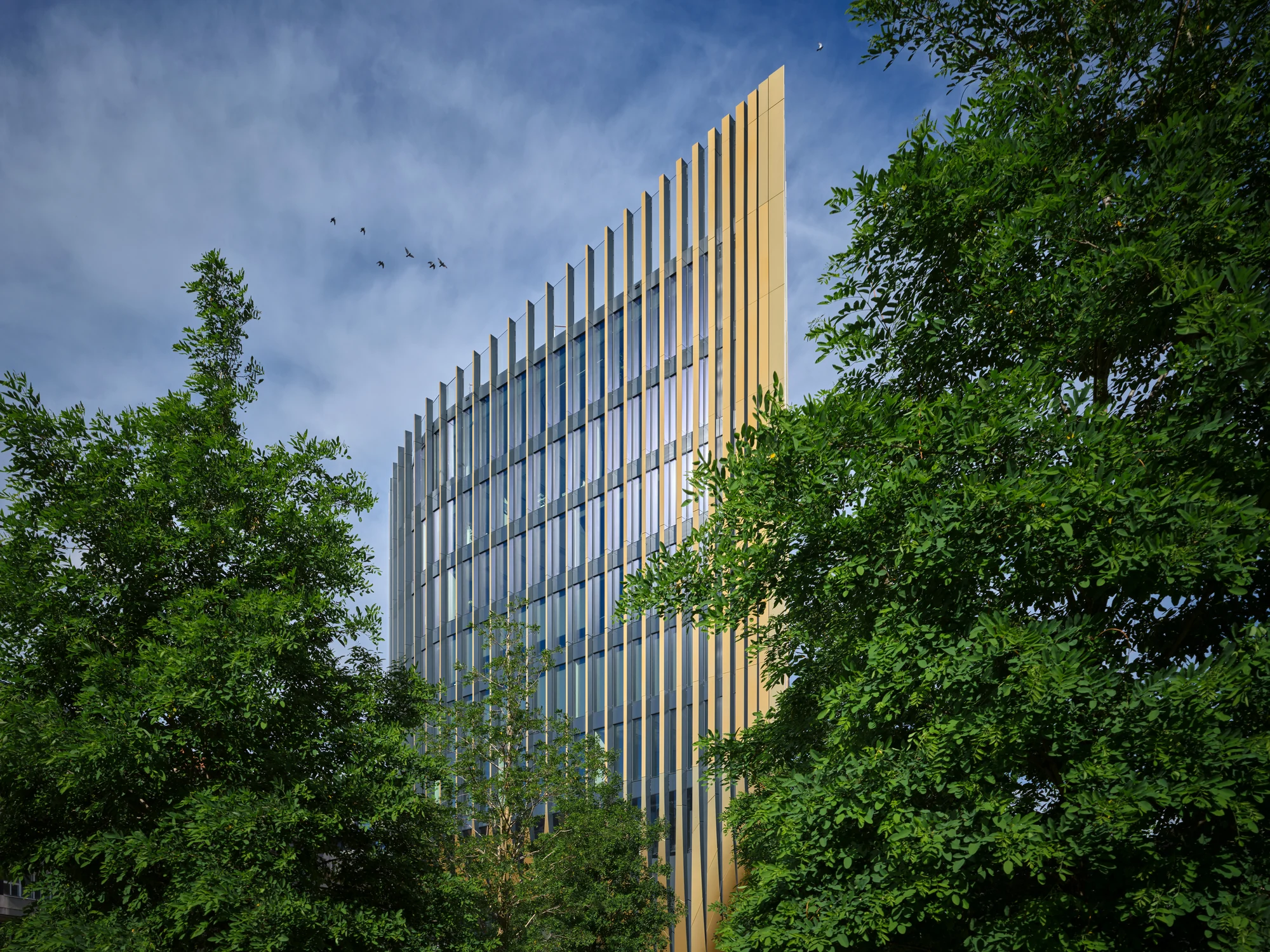 فضای اداری مدرن با پلان باز