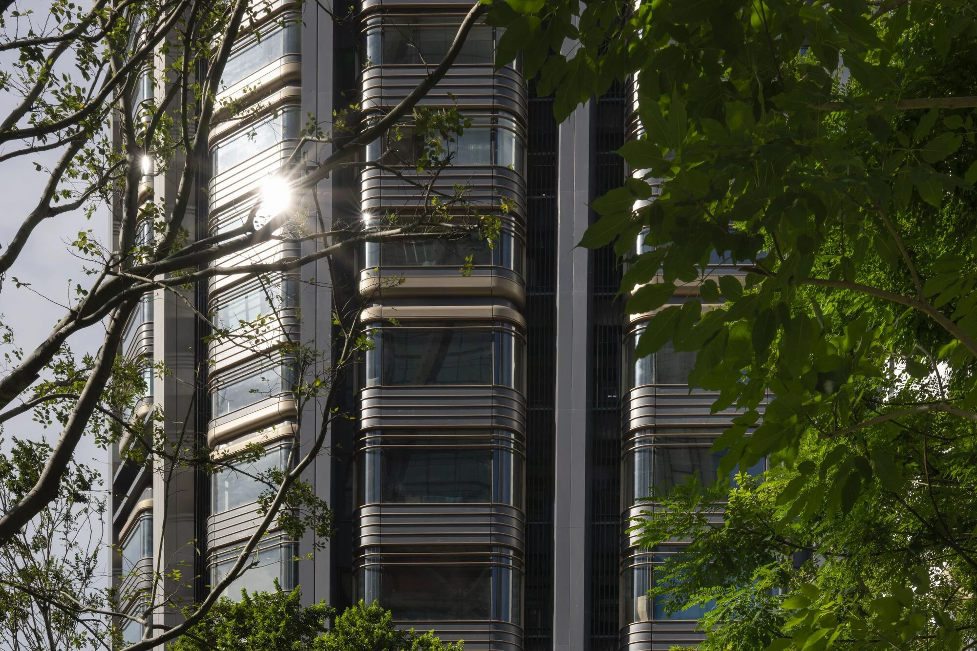 حجم دو برج با دید باز