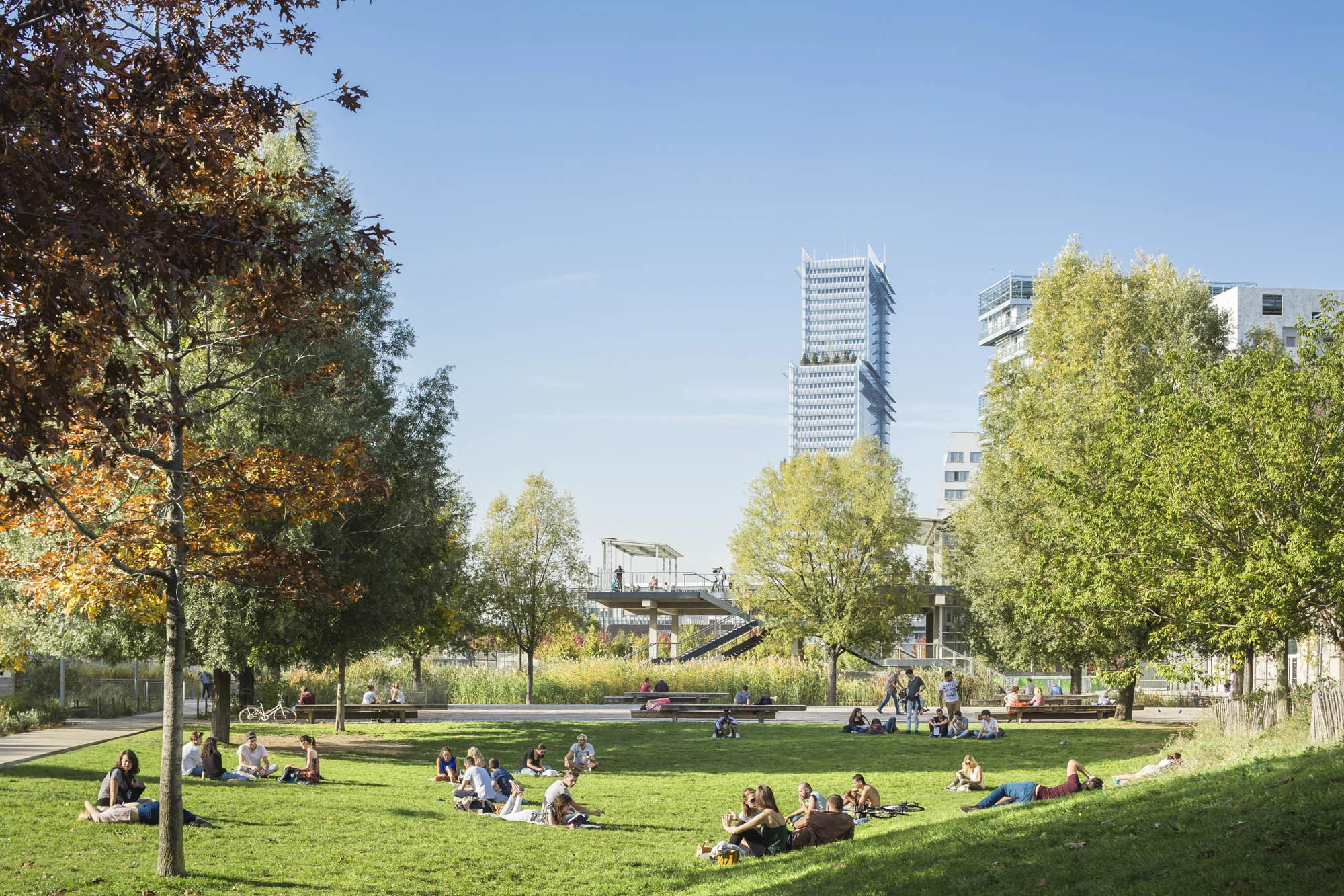 نماهایی که آفتاب صبح را بازتاب می‌دهد