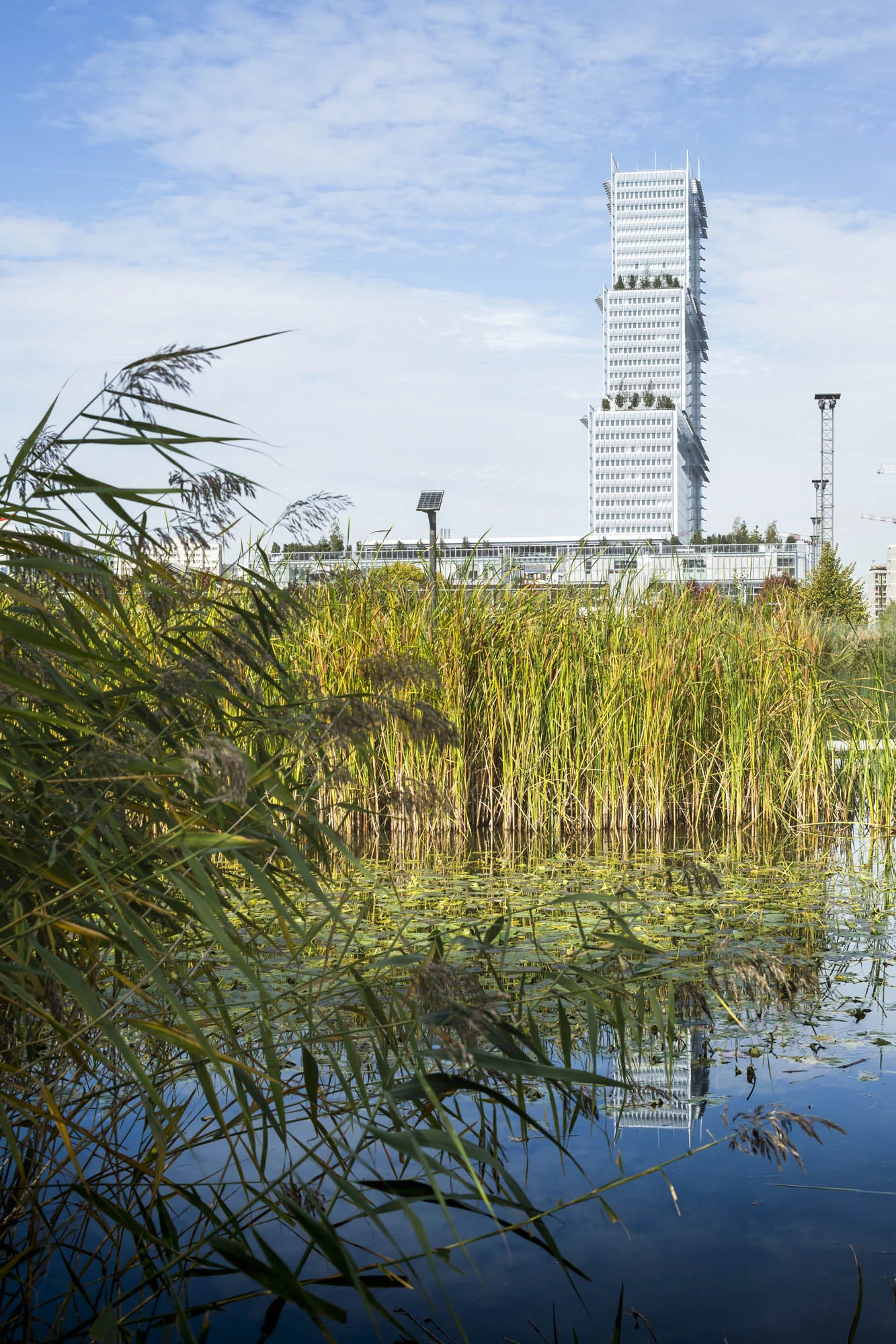 پله‌ها از لابی تا باغ هوایی