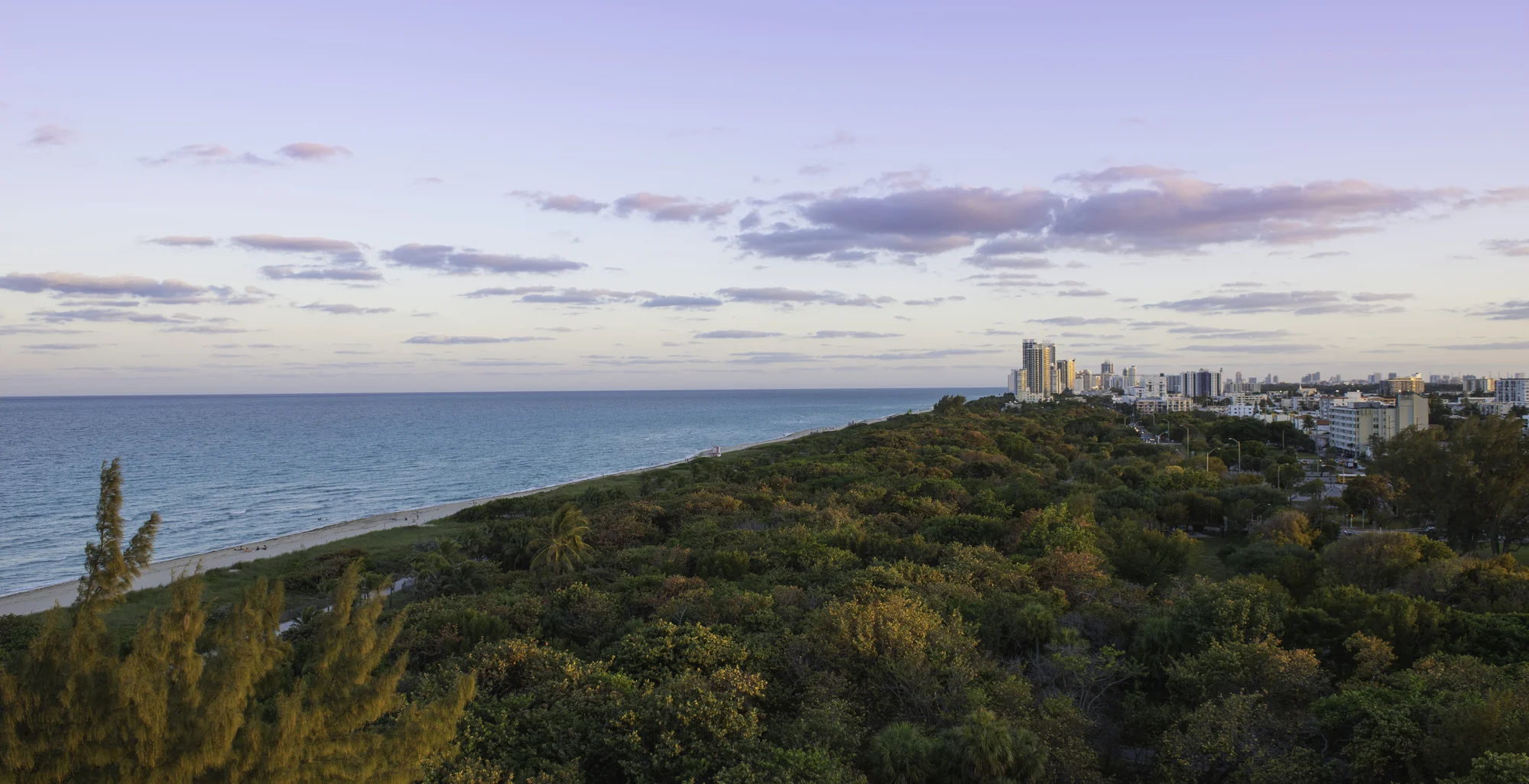 داخل منظره، خارج شفاف