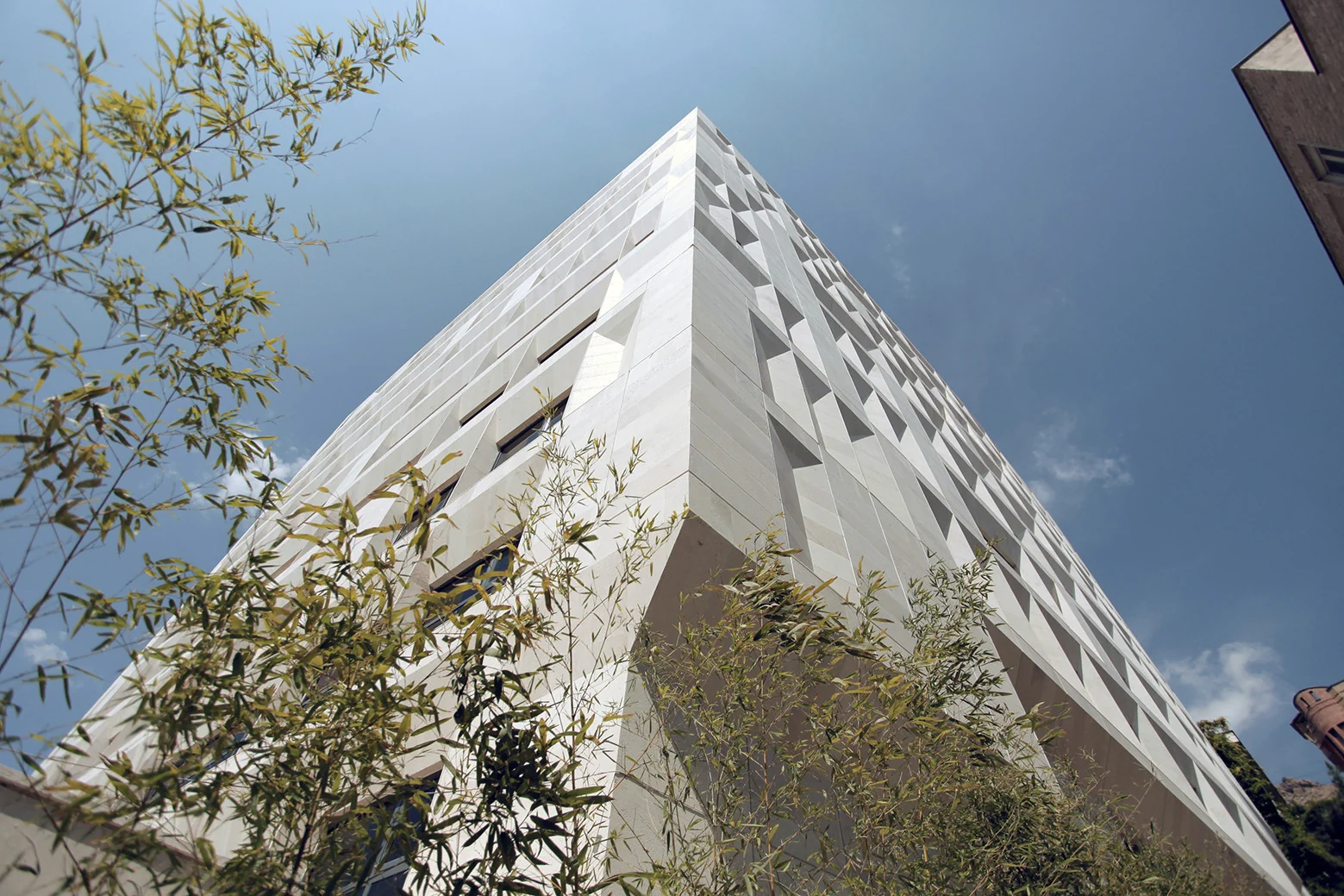 شبکهٔ بازشو متنوع پویا