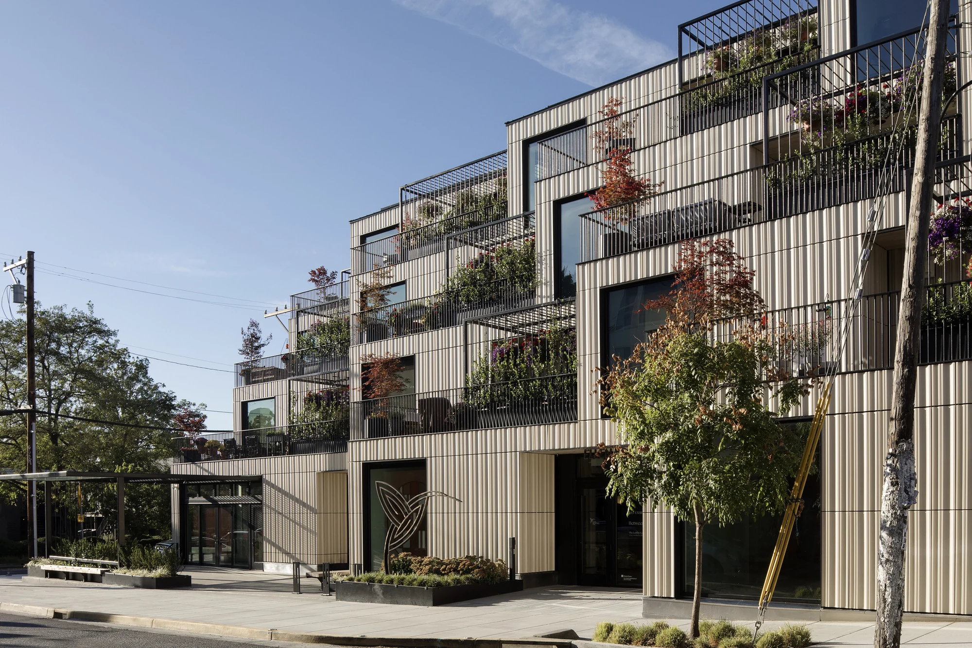 حجم آرام در محله پرجنب‌وجوش