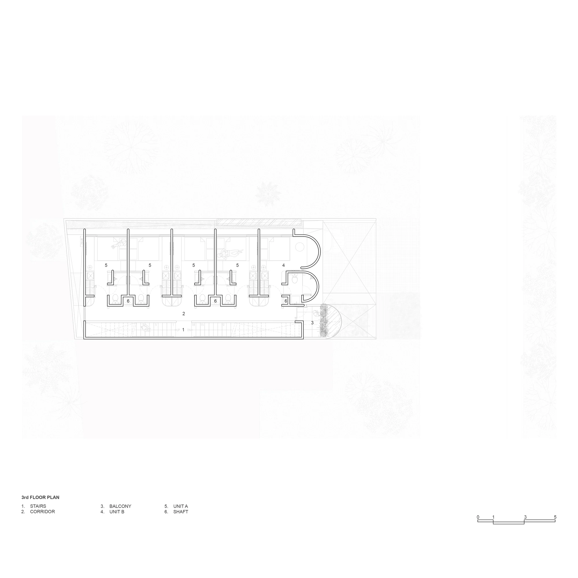 نور صبحگاهی از سمت شرق