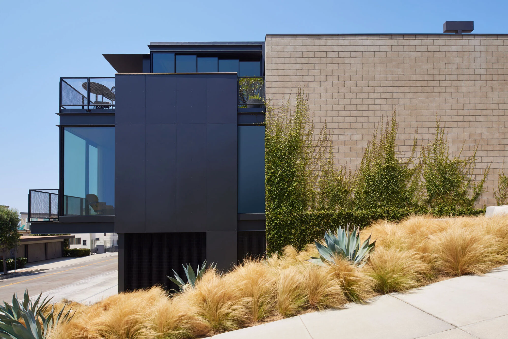 گذر عمومی به خصوصی گیاه‌آرا