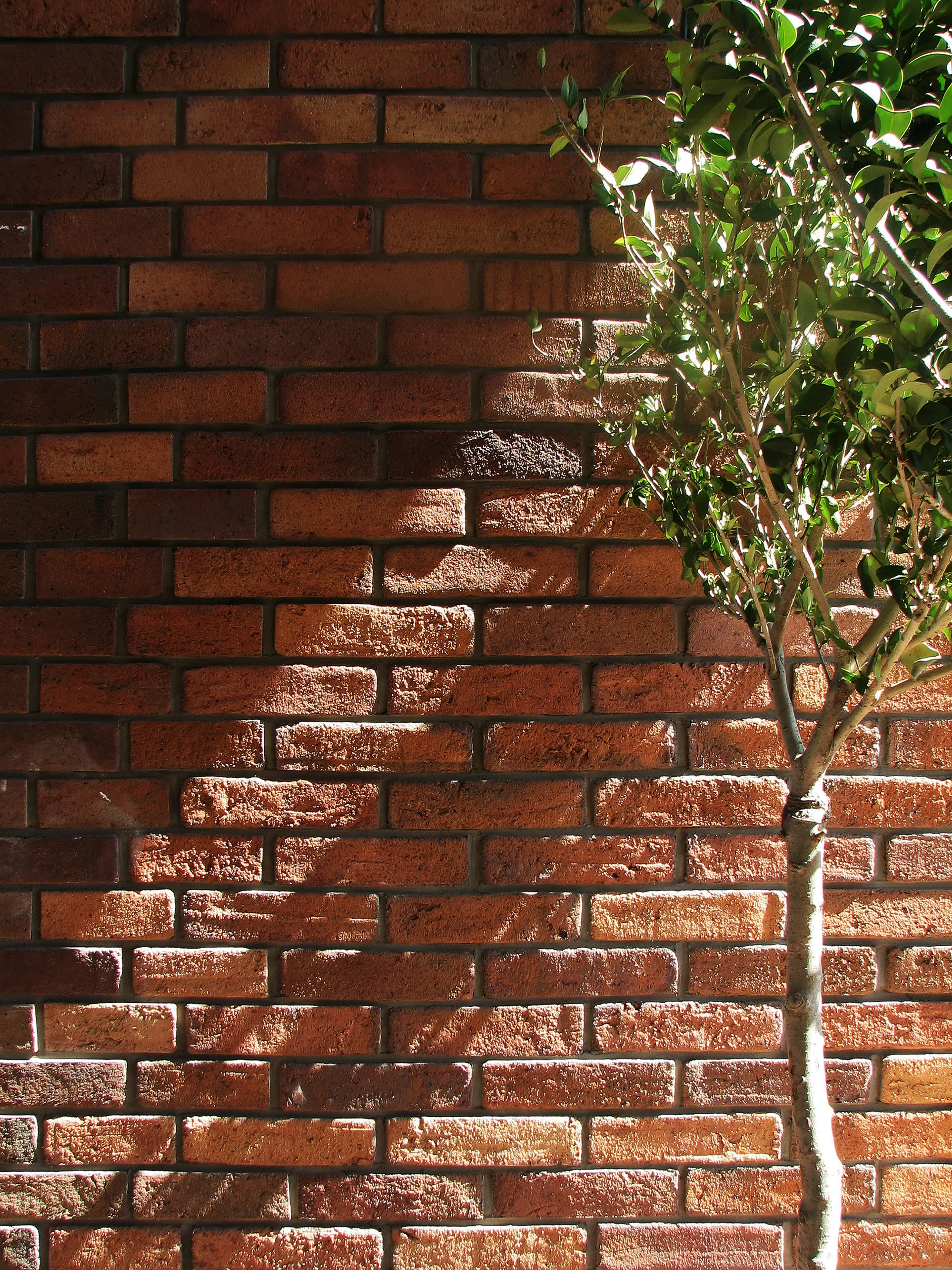 نمای مدرن ساختمان نظام مهندسی قزوین با الگوهای معماری بومی