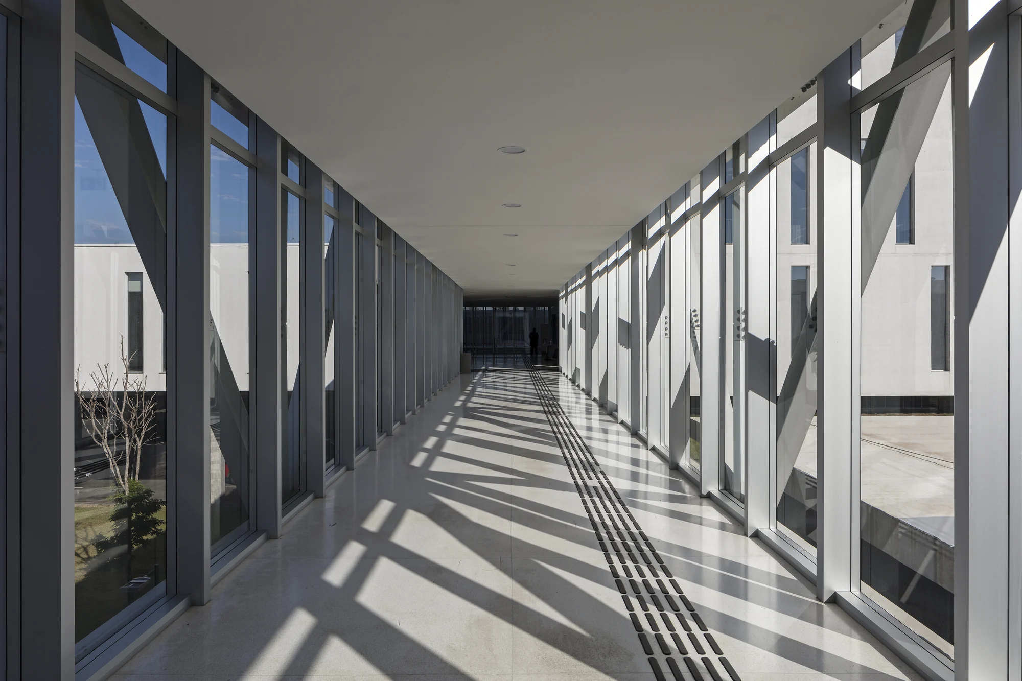 نمای مدرن مجتمع فکومرسیو، سسک و سناک با متریالهای شیشهای