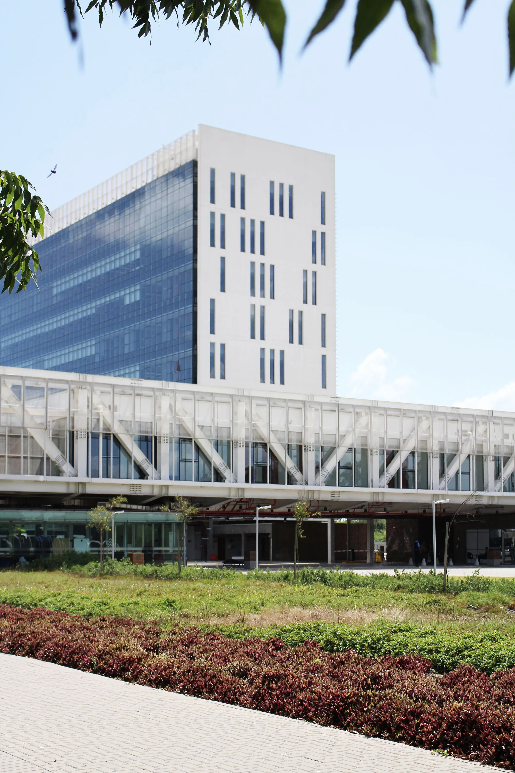 طراحی پایدار مجتمع فکومرسیو، سسک و سناک با نمای شفاف