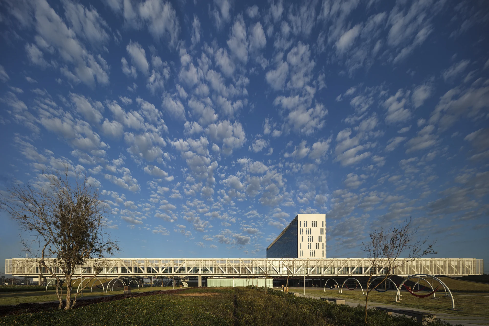 پلان معماری مجتمع فکومرسیو با آتریوم شیشهای و نور طبیعی