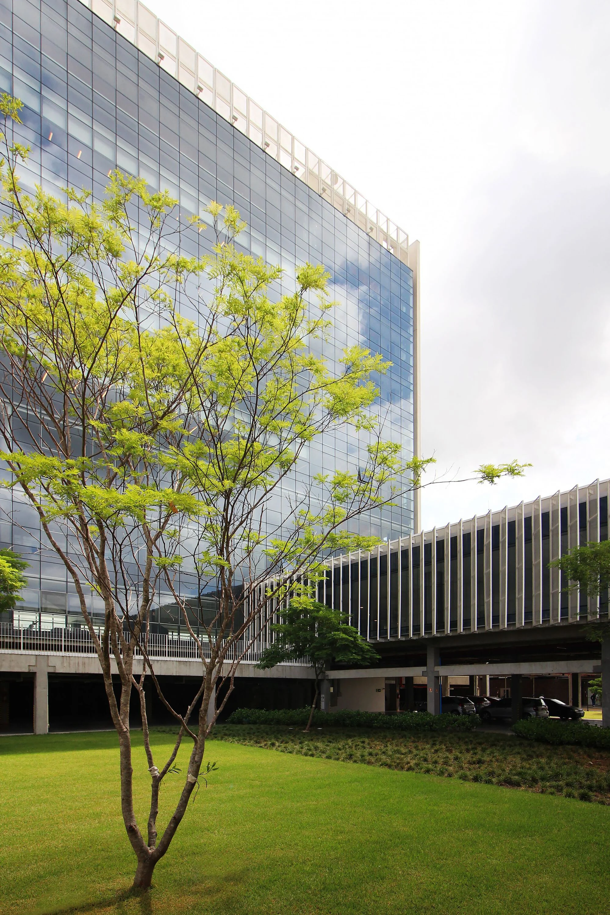 نمای شیشهای مجتمع فکومرسیو، سسک و سناک با معماری خلاقانه