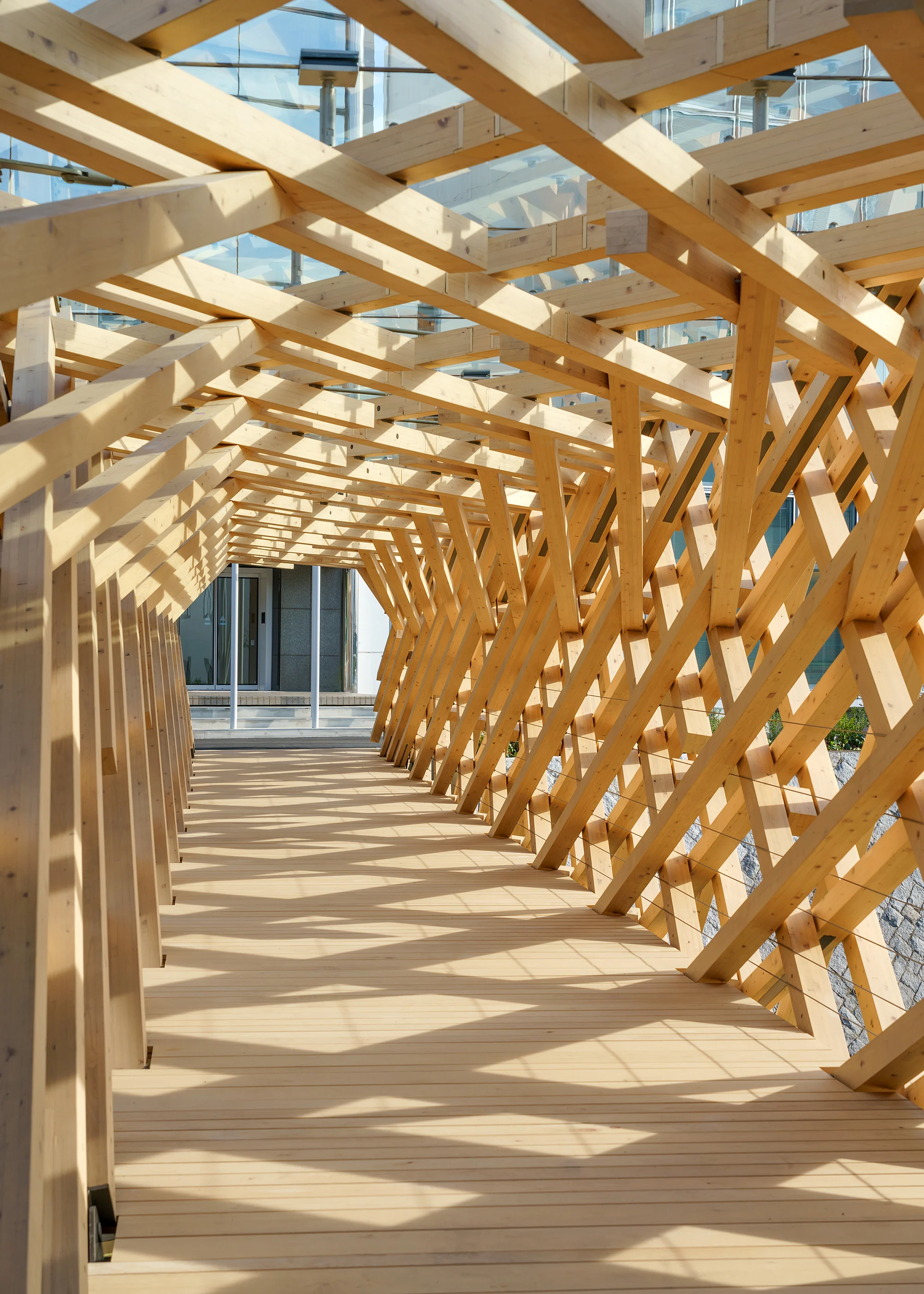 ساختار چوبی پل TAC.T با استفاده از چوب کوچکقطر و طراحی پایدار