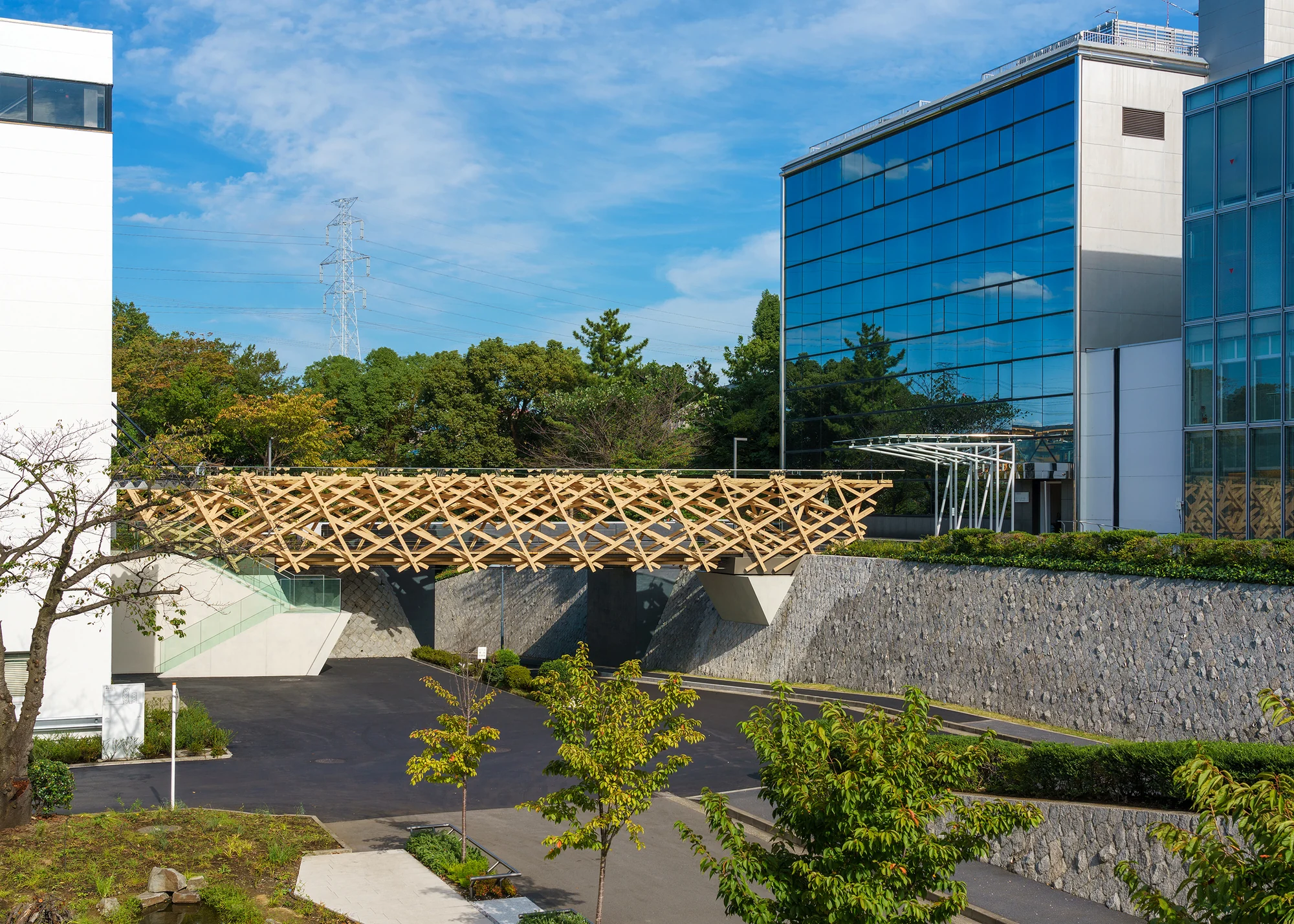 نمای خارجی پل TAC.T با معماری مدرن و سازگار با طبیعت