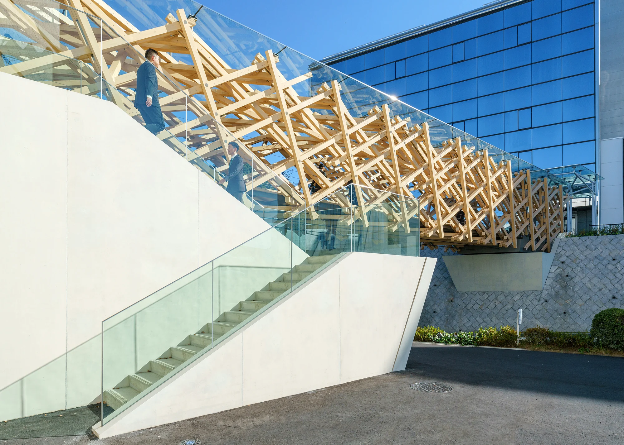 پل TAC.T با طراحی پایدار و استفاده از چوب کوچکقطر