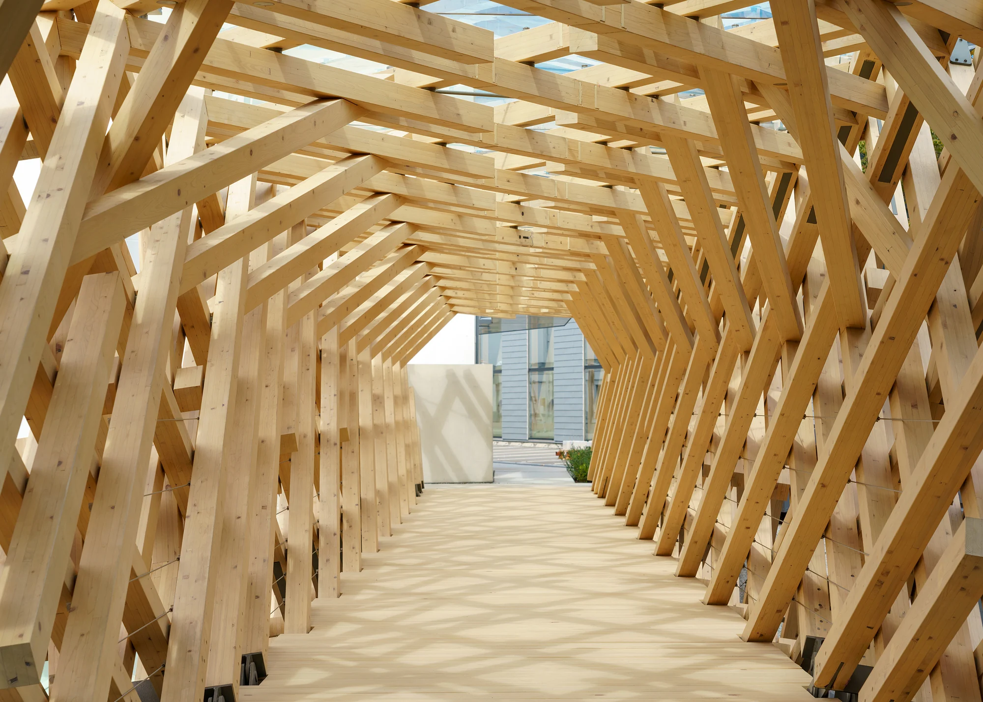 نمای کلی پل TAC.T با معماری معاصر و متریالهای سبز