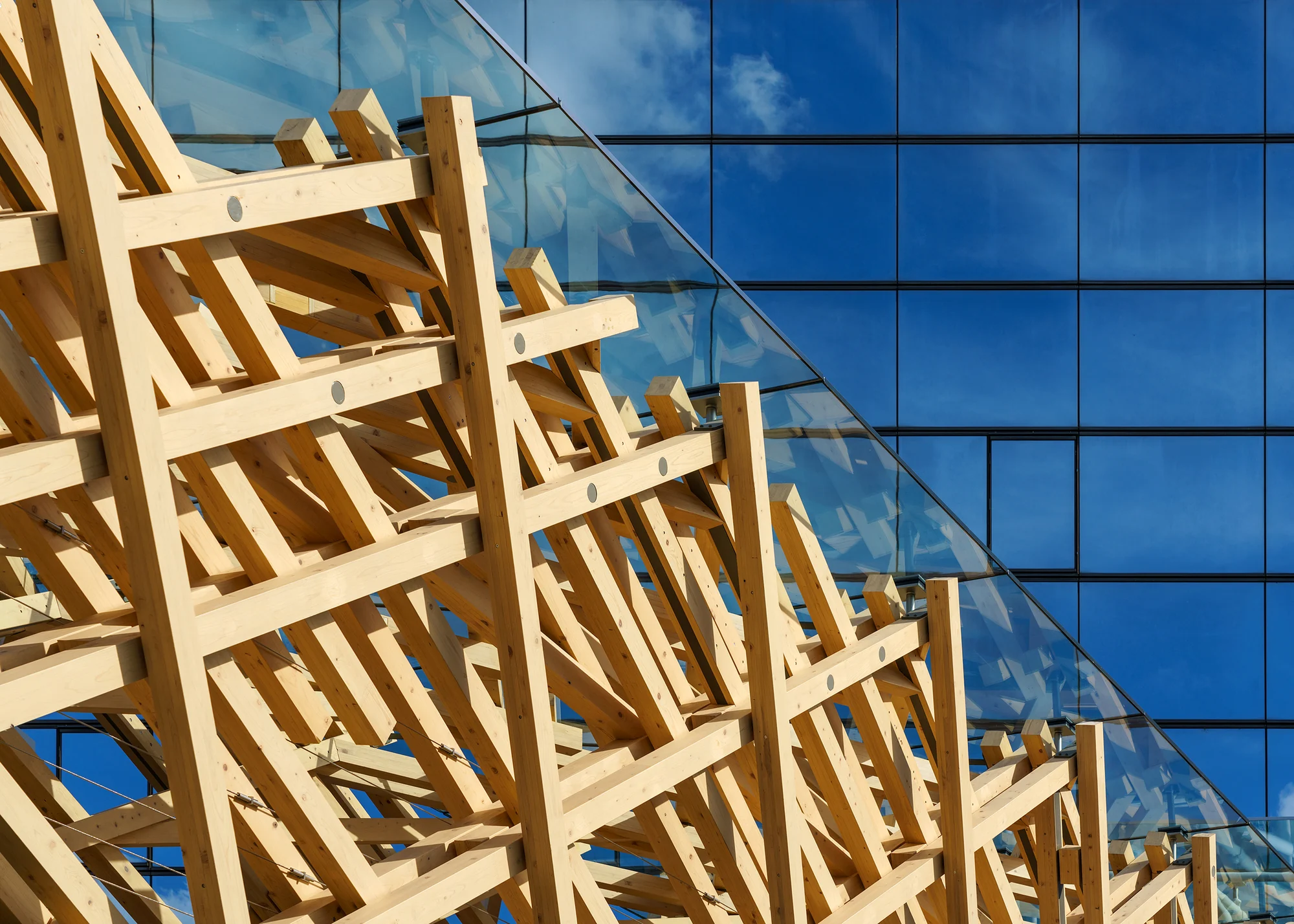 پل TAC.T با ساختار چوبی و بتن اکوفرندلی در محیط طبیعی