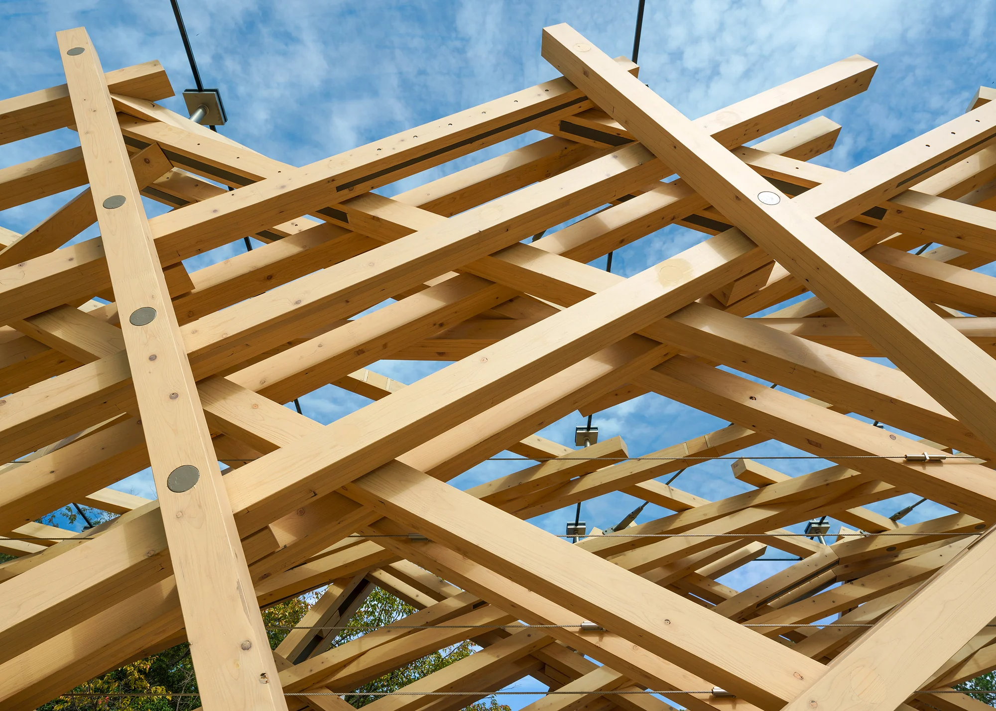 نمای کلی پل TAC.T با ساختار چوبی و بتن پایدار