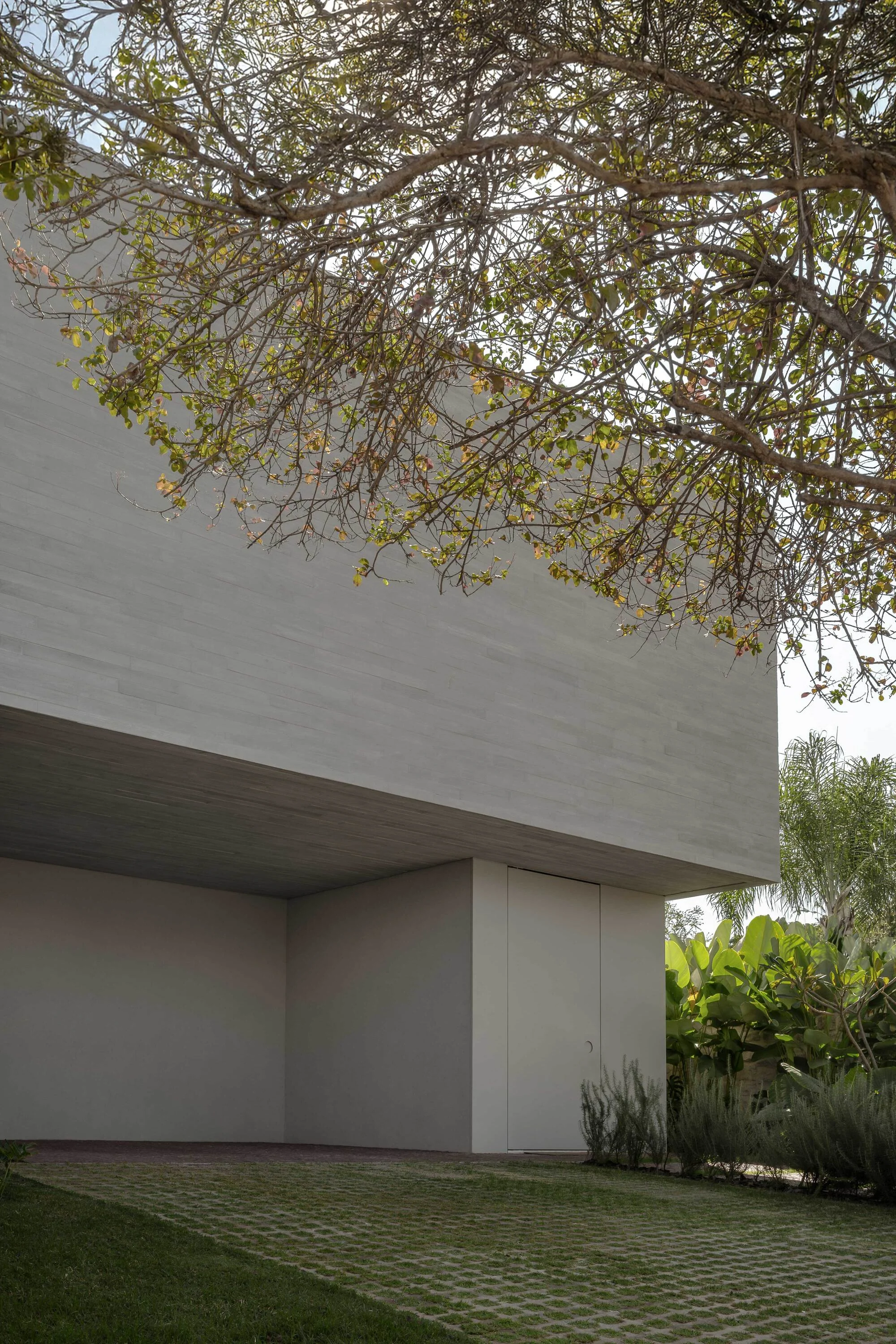 پلان باز فضای داخلی خانه بوینس آیرس با طراحی استودیو ماریانه ریوس