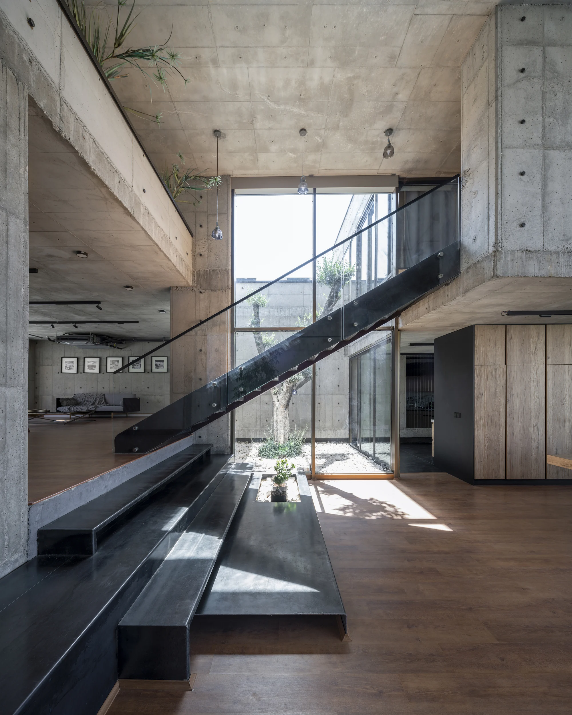 فضای حیاط ویلا باغ شهر با منظر دشت